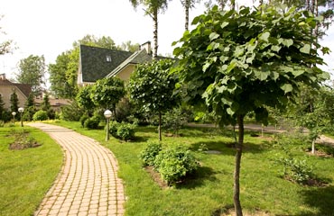 Фотография 2010 года
