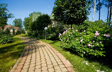 Фотография 2011 года