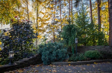 Фотография сделана в 2018 году