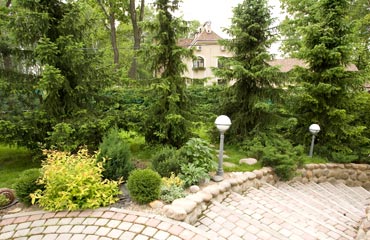 Фотография 2010 года