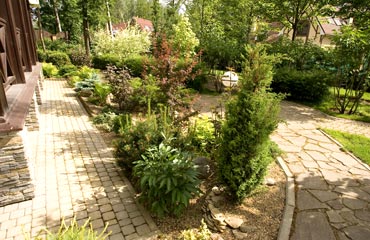 Фотография 2010 года