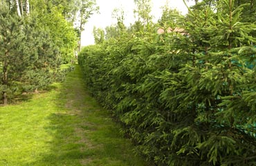 Фотография 2010 года